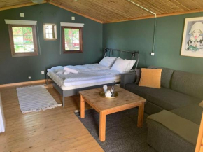 The Green Cabin Fagerfjäll